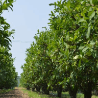 董事長韓吉書參與鄉(xiāng)村儒學建設~