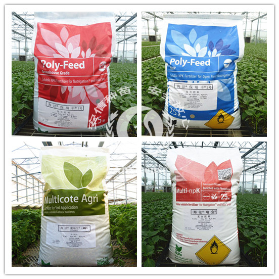 以色列海法保瑞豐系列進(jìn)口水溶肥_安信種苗