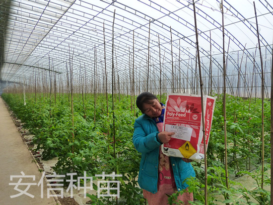 安信種苗促銷活動(dòng)