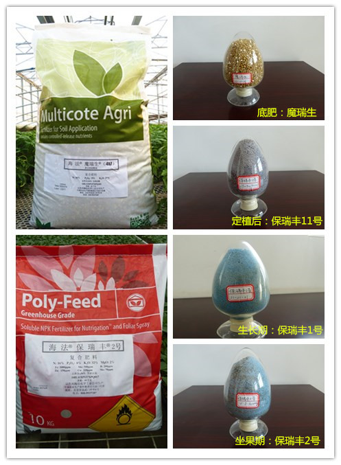 進(jìn)口水溶肥以色列海法系列肥-果蔬高產(chǎn)的保證