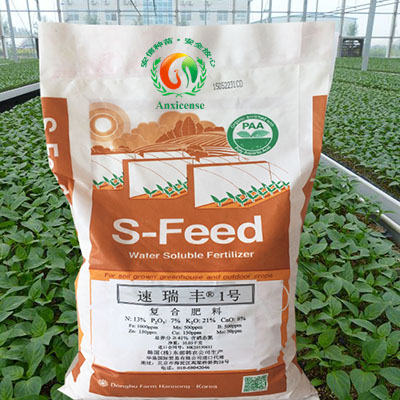 東部韓農(nóng)·速瑞豐1號