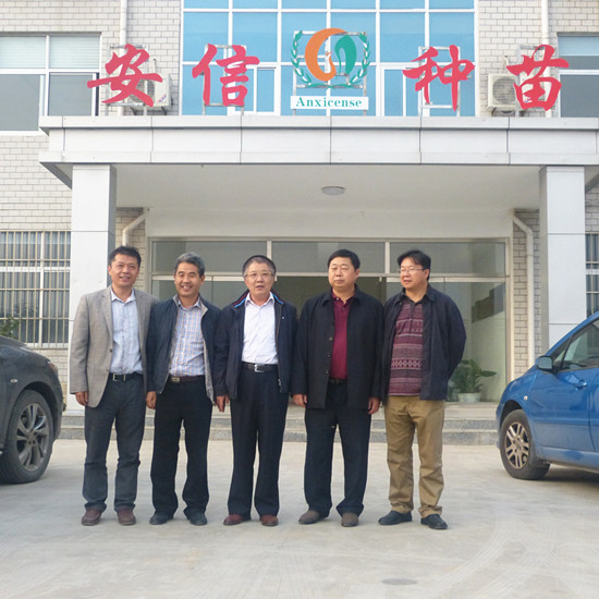 云南省農(nóng)業(yè)廳王廳長(zhǎng)蒞臨安信番茄苗基地視察