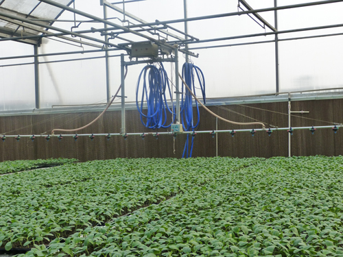 移動(dòng)噴灌車