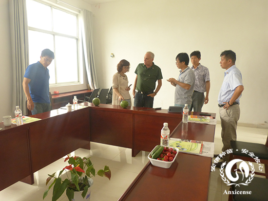 談?wù)摕o籽西瓜的果品