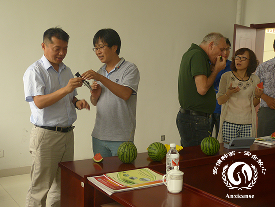 安信種苗董事長韓吉書親自檢測(cè)無籽西瓜的含糖量