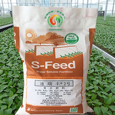 東部韓農(nóng)·速瑞豐2號