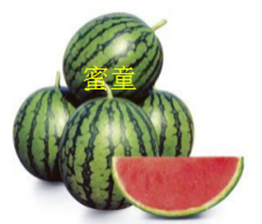 蜜童（無(wú)籽紅瓤） 